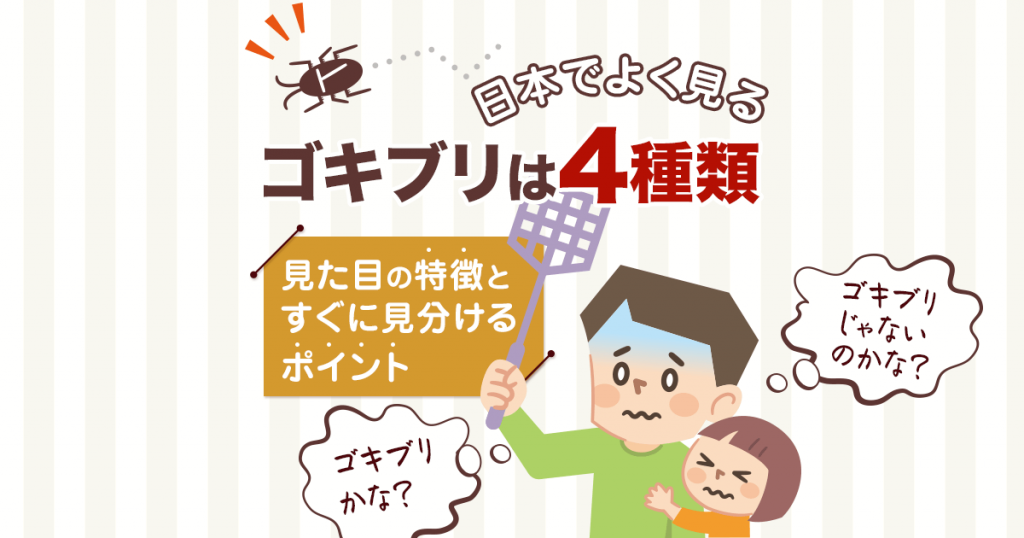 日本でよく見るゴキブリは４種類見た目の特徴とすぐに見分けるポイント