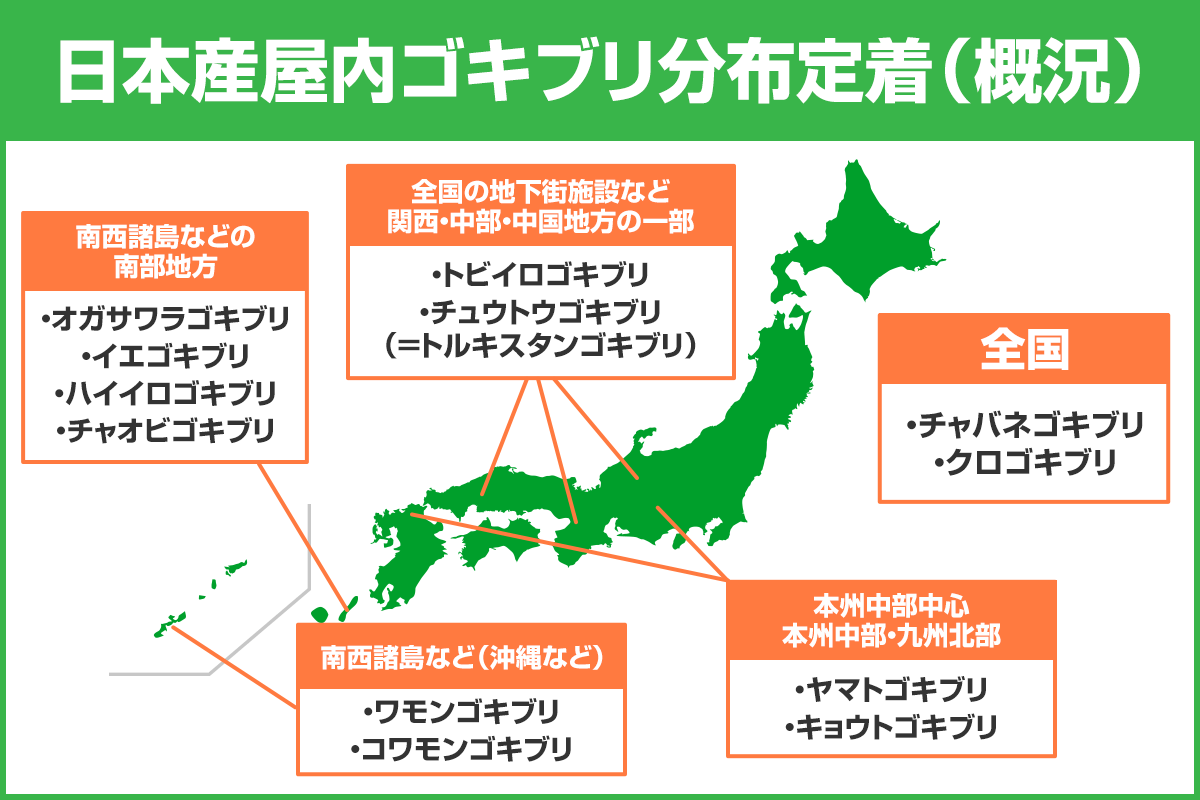 日本産屋内ゴキブリの分布定着