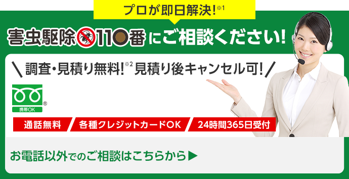 プロが即日解決！害虫駆除110番