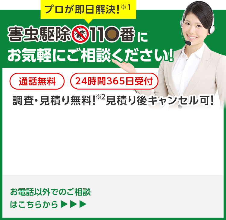 今すぐお電話で無料相談！