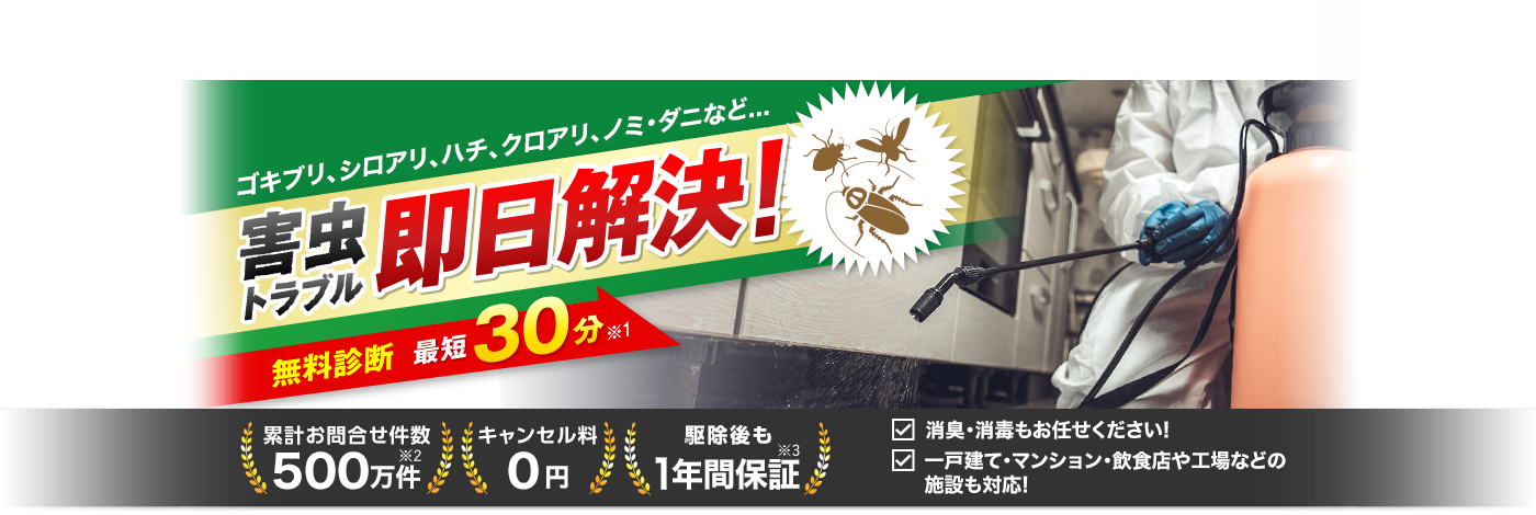 害虫駆除110番｜ゴキブリ、ノミ・ダニ、トコジラミ、チャタテムシなどの害虫駆除や害虫対策に日本全国、24時間365日受付対応！