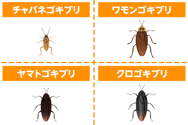4種類のゴキブリ