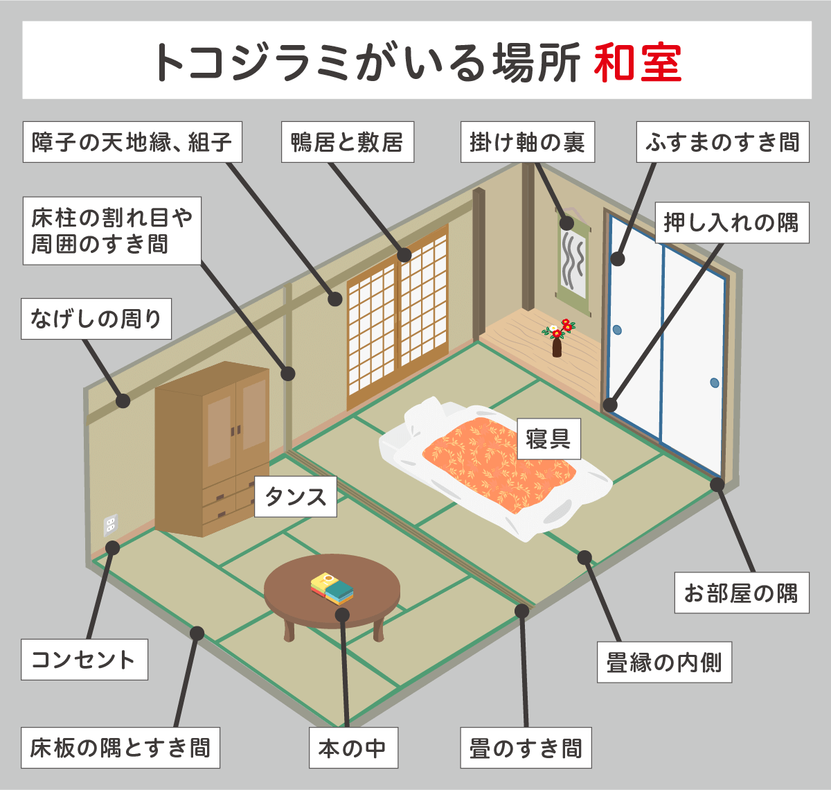 トコジラミがいる場所 和室