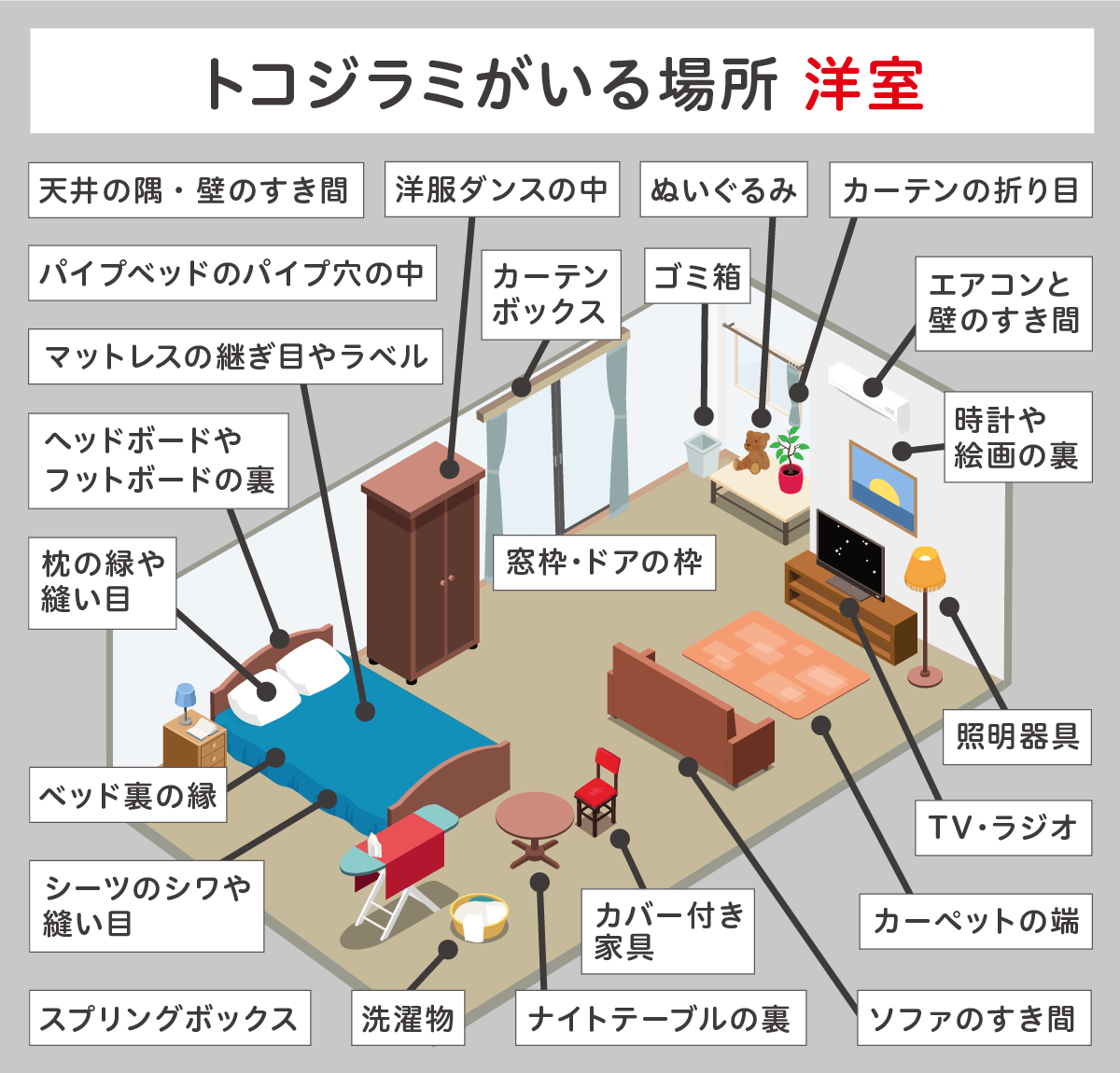 トコジラミがいる場所　洋室