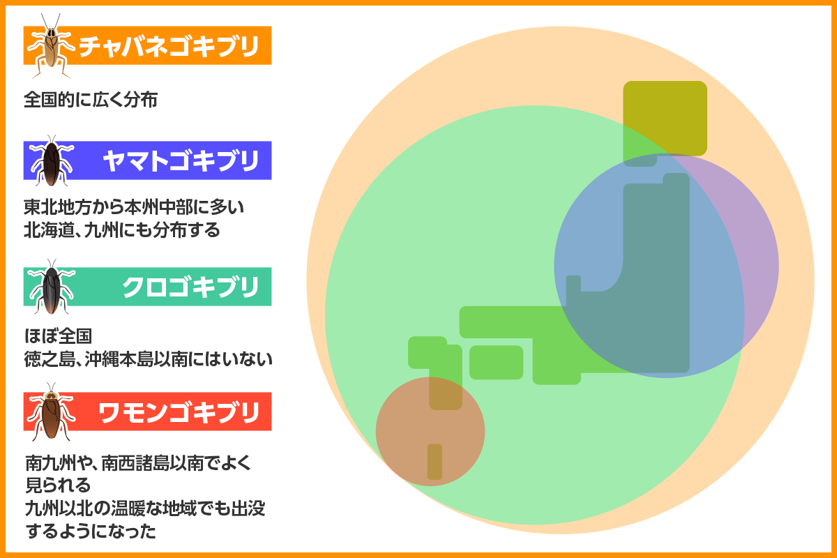 ゴキブリ 4種類 分布