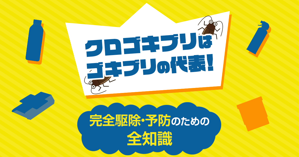 クロゴキブリはゴキブリの代表　完全駆除・予防のための善智識