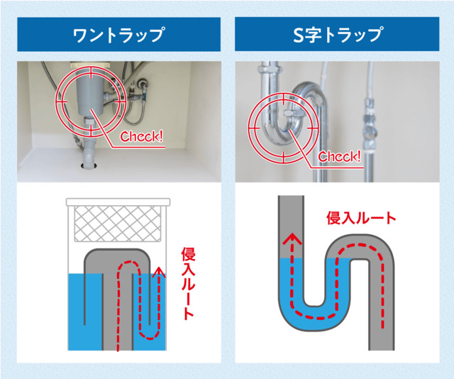 ゴキブリ　排水トラップ　通過