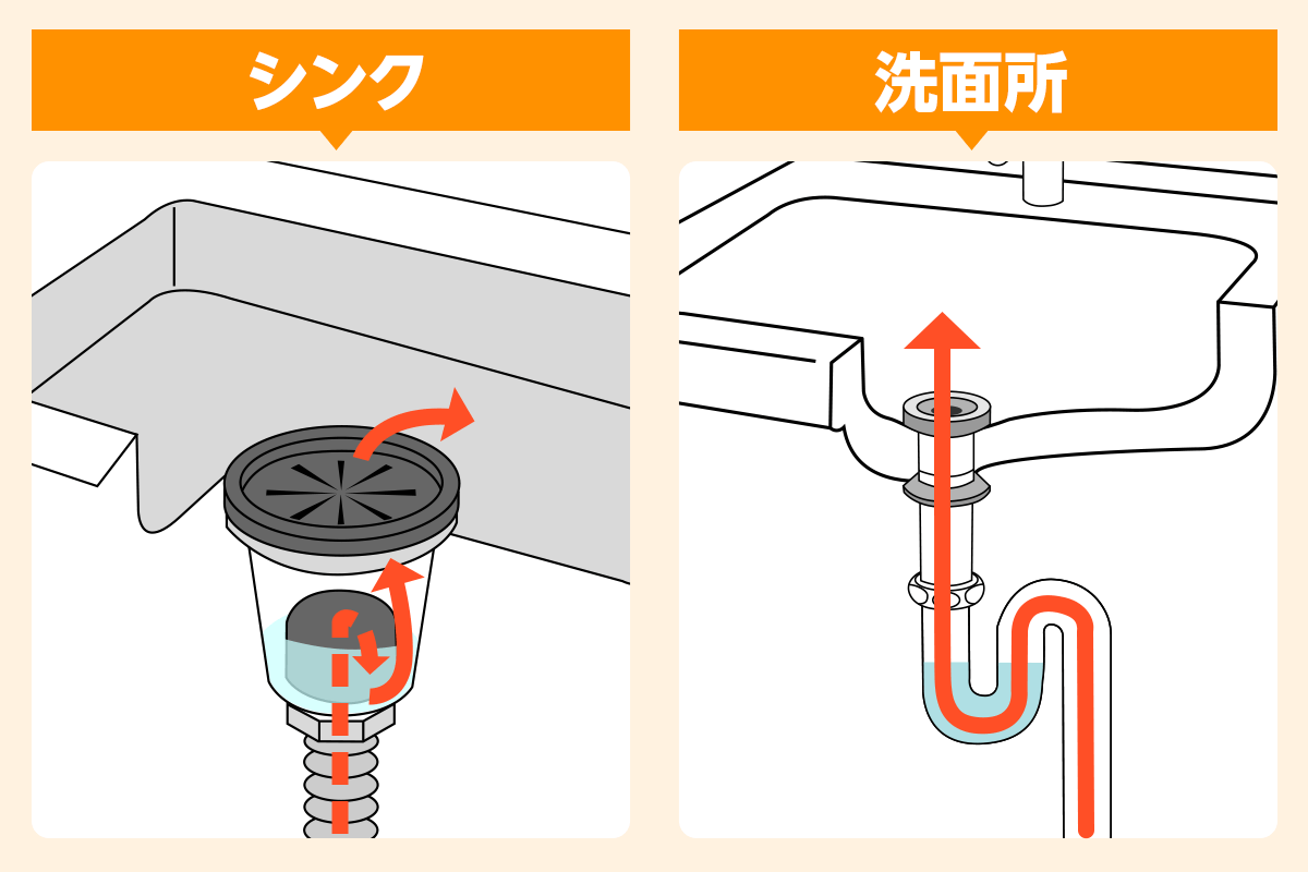 ゴキブリ 侵入経路　シンク　排水口