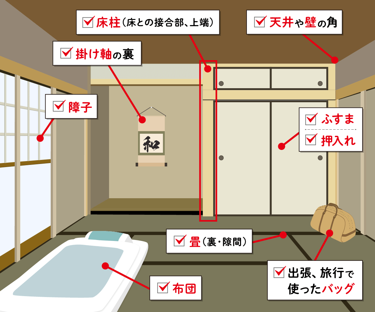 和室のトコジラミの潜伏場所