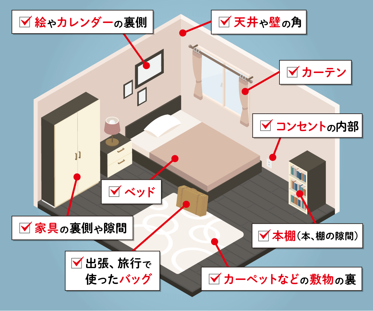 洋室のトコジラミの潜伏場所