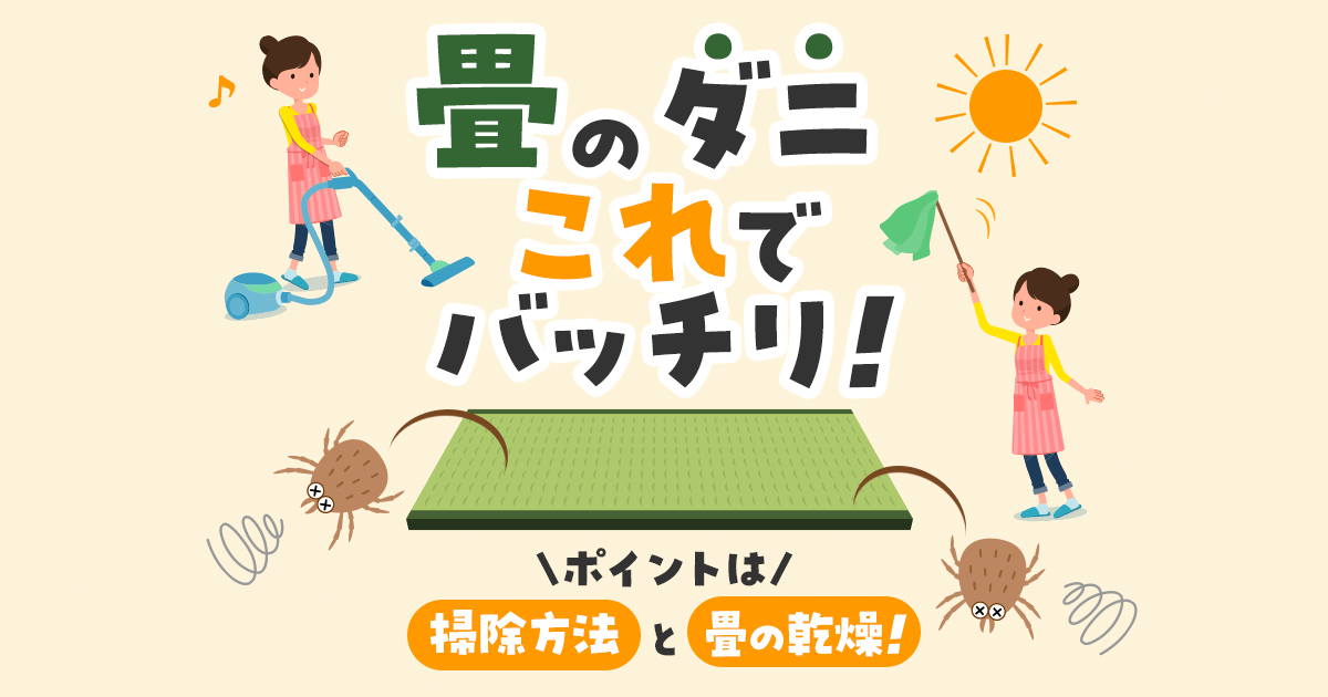 畳のダニ　ポイントは掃除方法と畳の乾燥