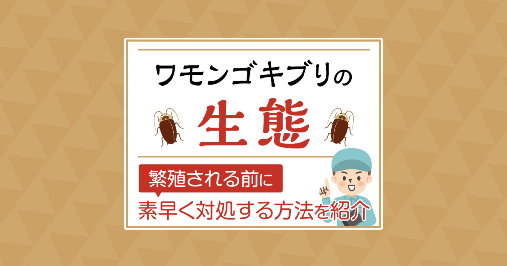 ワモンゴキブリの生態　繁殖される前に素早く対処する方法を紹介