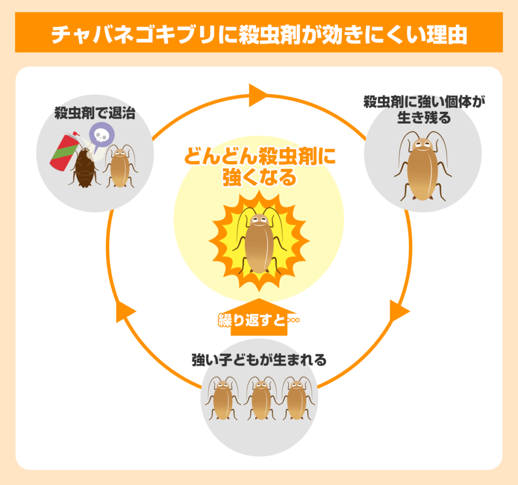 チャバネゴキブリに殺虫剤が効きにくい理由