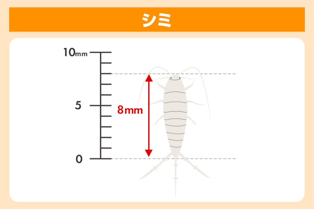 シミ