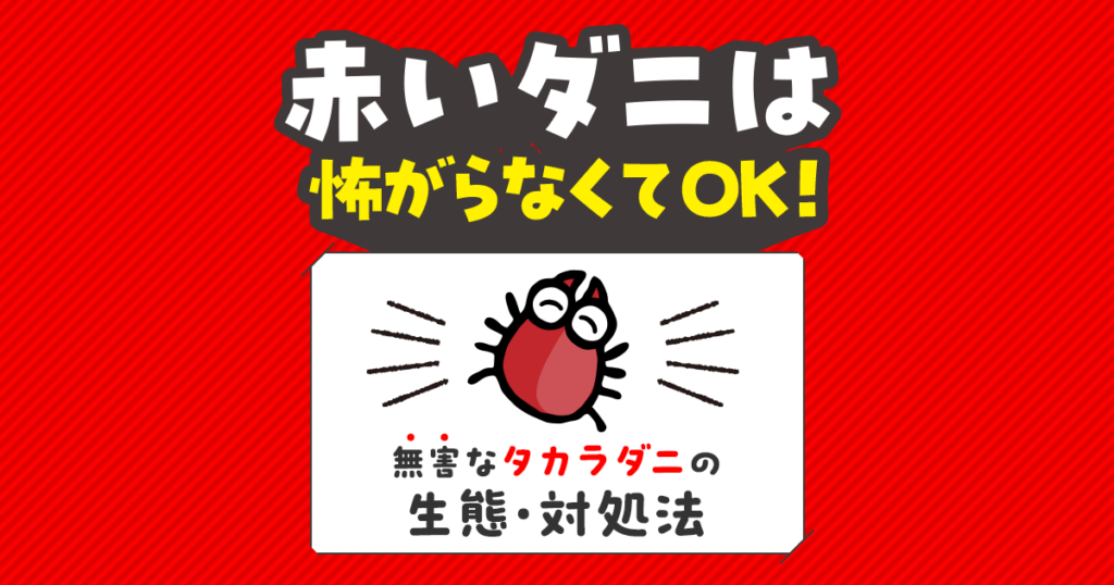 赤いダニは怖がらなくてOK！無害なタカラダニの生態・対処法