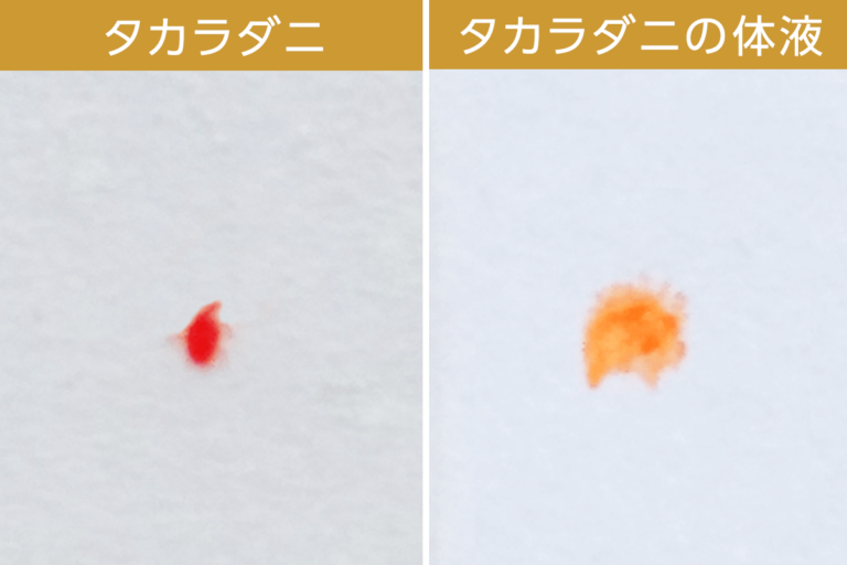 赤いダニは無害なタカラダニ!生態を知ってカンタン駆除・予防しよう | 害虫駆除110番