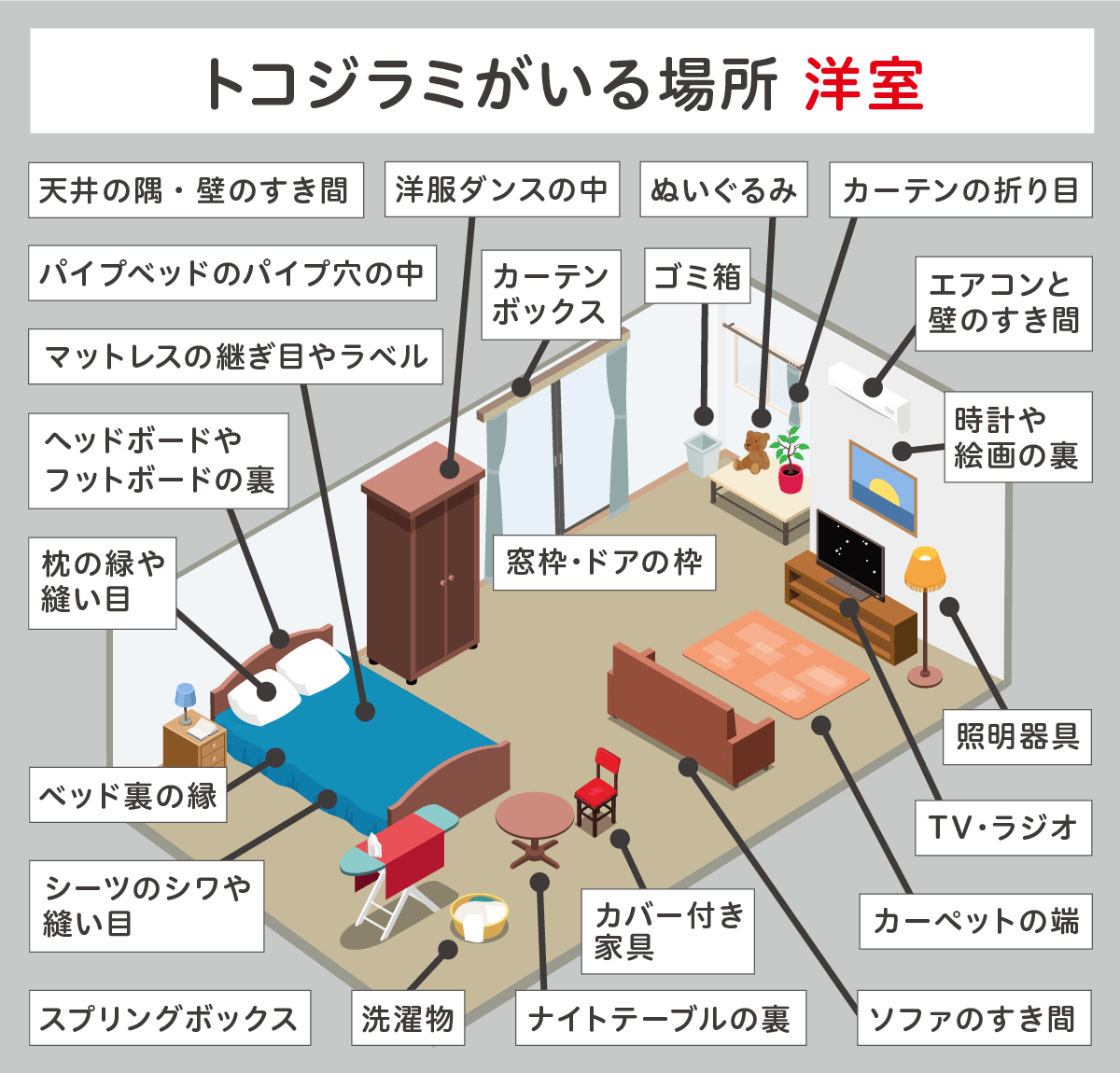 トコジラミがいる洋室