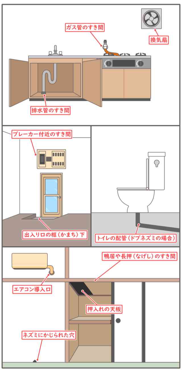 ねずみ　侵入口　屋内