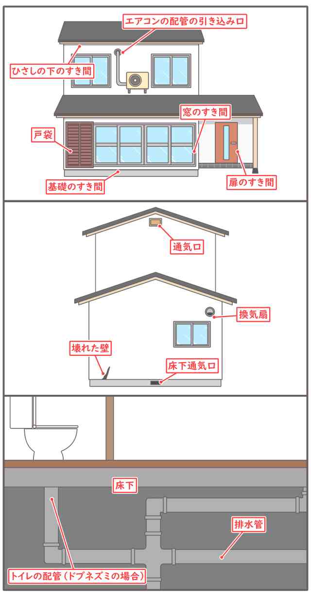 ねずみ　侵入口　屋外