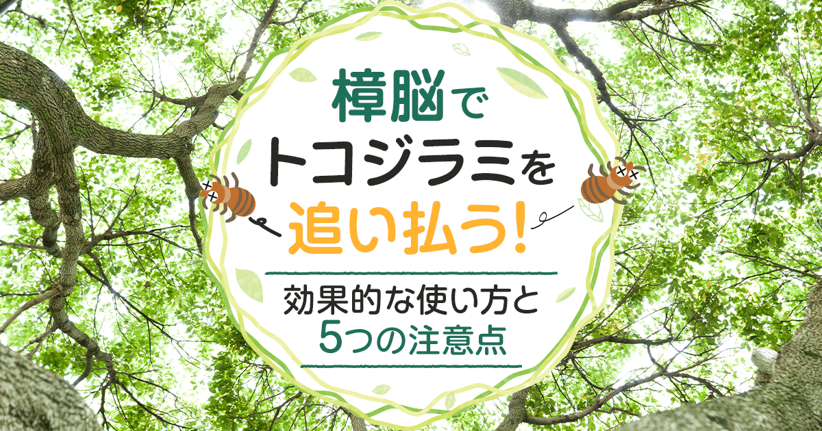 トコジラミが嫌う匂いの使い方と注意点