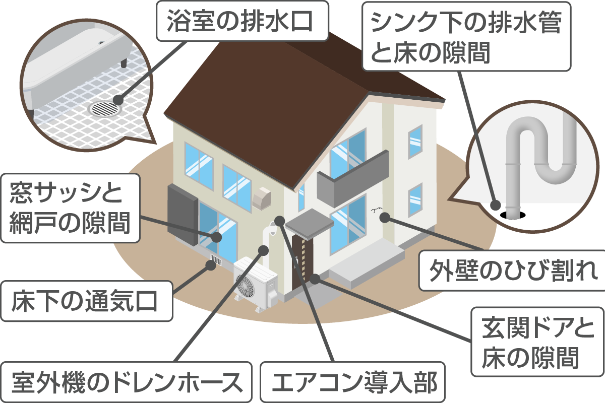 ムカデ　侵入経路