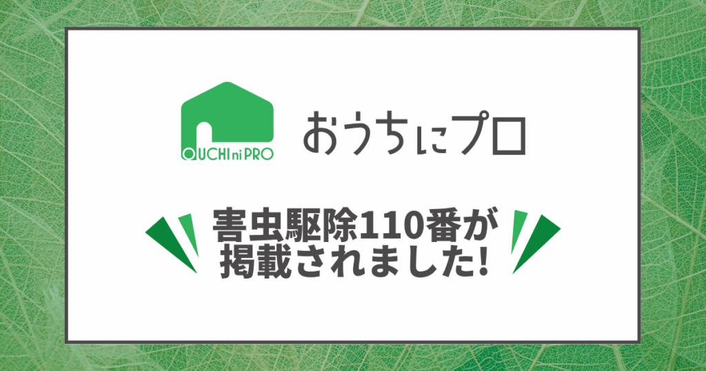 『おうちにプロ』に害虫駆除110番が掲載されました！