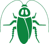 ゴキブリ