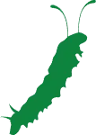 ヤスデ