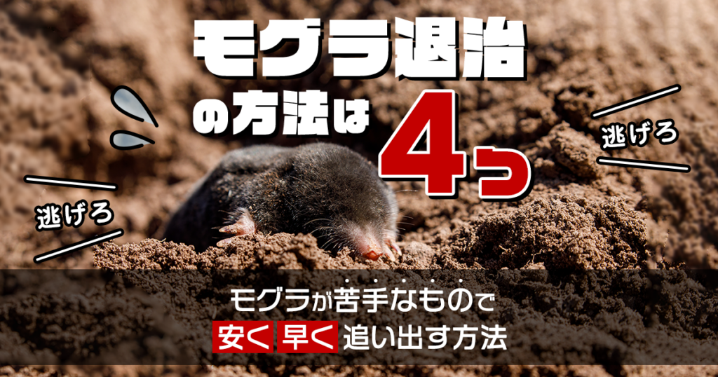 モグラ退治の4つの方法