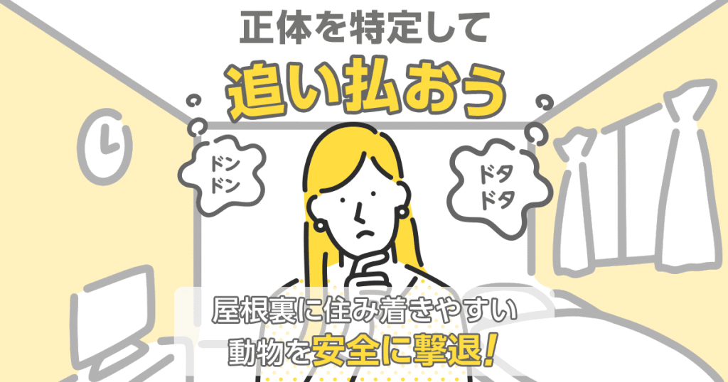 屋根裏に住み着きやすい動物を安全に撃退する方法