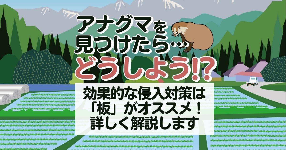 アナグマの効果的な侵入対策