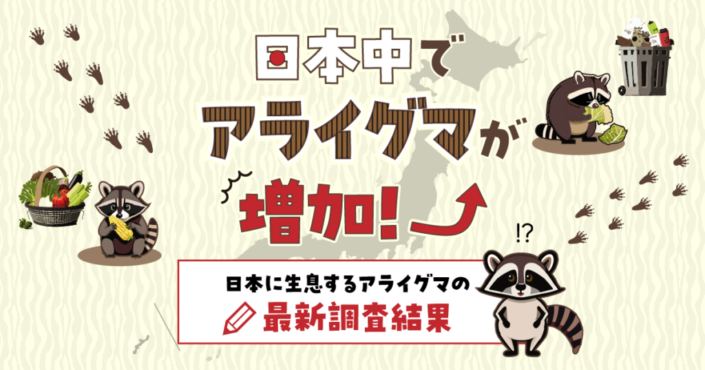 日本に生息するアライグマの最新調査結果