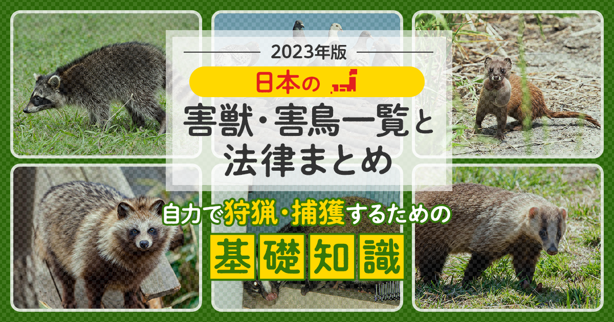 日本の害獣・害鳥一覧と法律まとめ