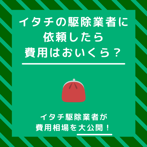 イタチの駆除費用相場を大公開