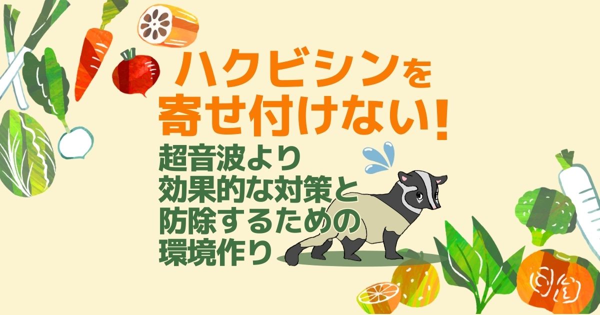 ハクビシンを寄せ付けない超音波より効果的な対策