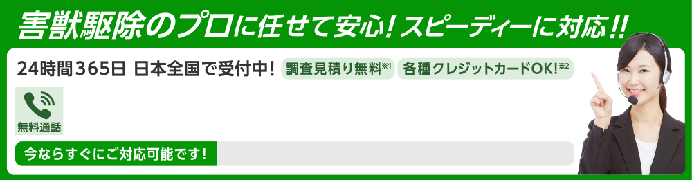 害獣駆除のプロに任せて安心！ スピーディーに対応！