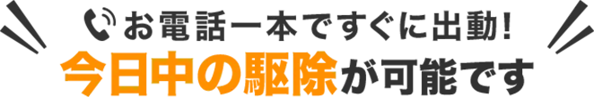 お電話1本ですぐに出動！今日中の駆除が可能です