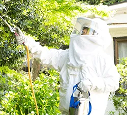 蜂の巣駆除をする作業員