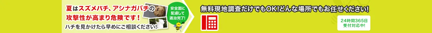夏はスズメバチ、アシナガバチの攻撃性が高まり危険です！ハチを見かけたら早めにご相談ください！