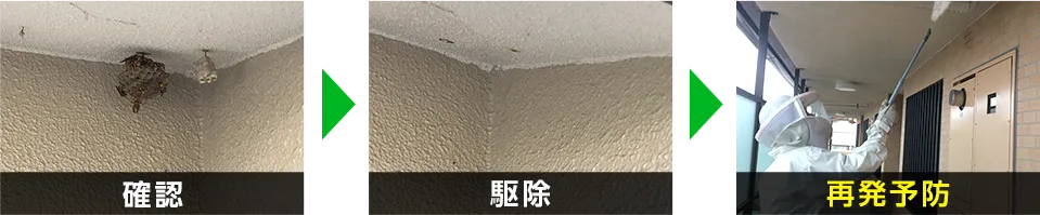蜂の巣を確認・蜂の巣を駆除・再発を防止