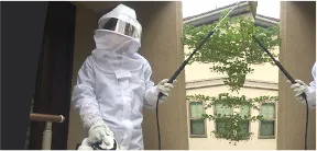 専用の薬剤で徹底駆除