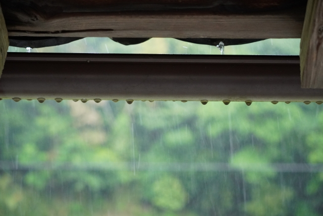蜂は雨の日は飛びにくい！スズメバチ・アシナガバチの巣を効率よく退治する方法
