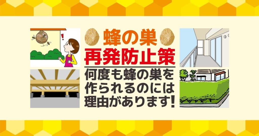 蜂の巣　再発防止策 何度も蜂の巣を作られるのには理由があります！