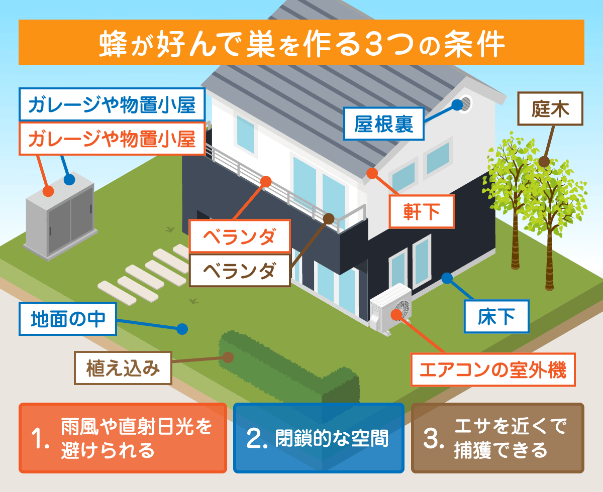 蜂が好んで巣を作る環境3つの条件