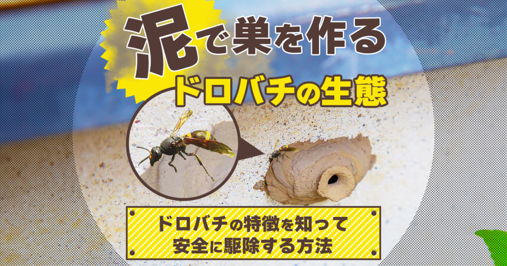 ドロバチの生態と駆除方法