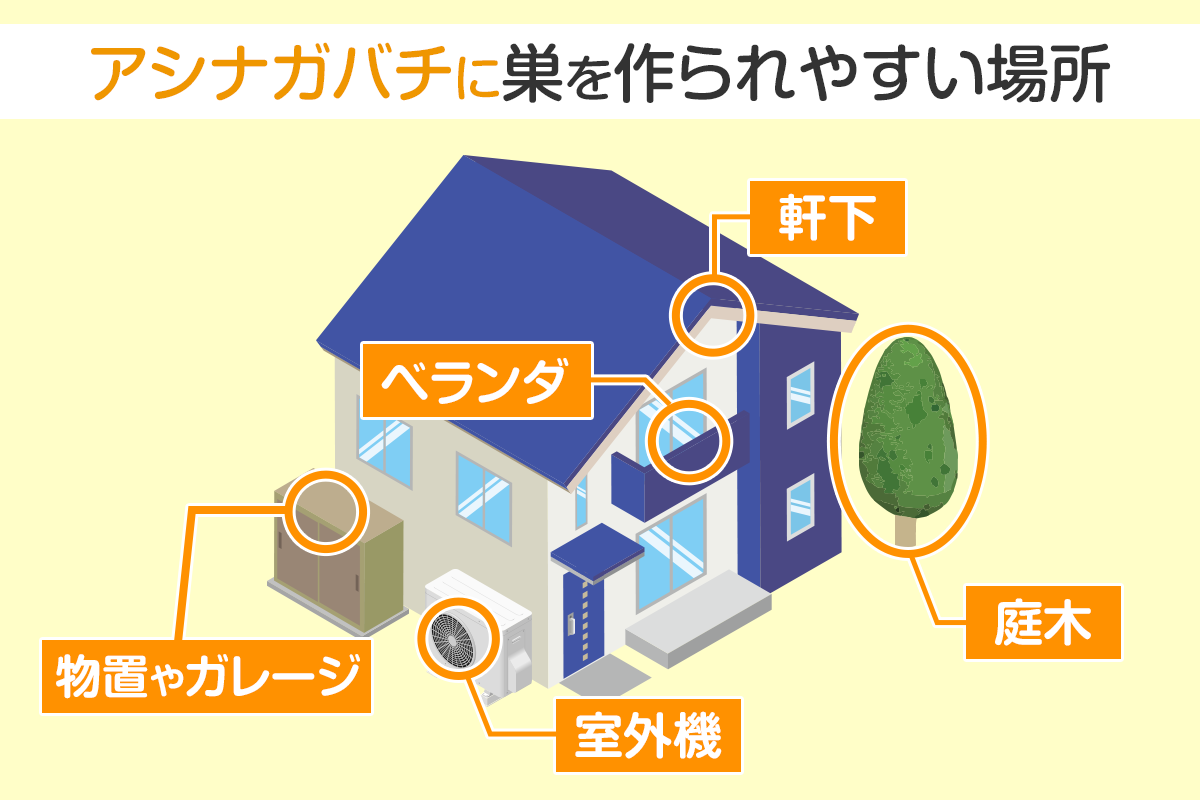 アシナガバチニスを作られやすい場所