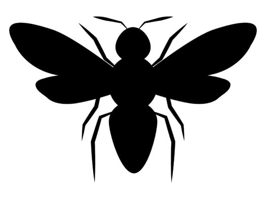 モンスズメバチの生態 見た目の特徴や人への被害について解説します ハチ110番