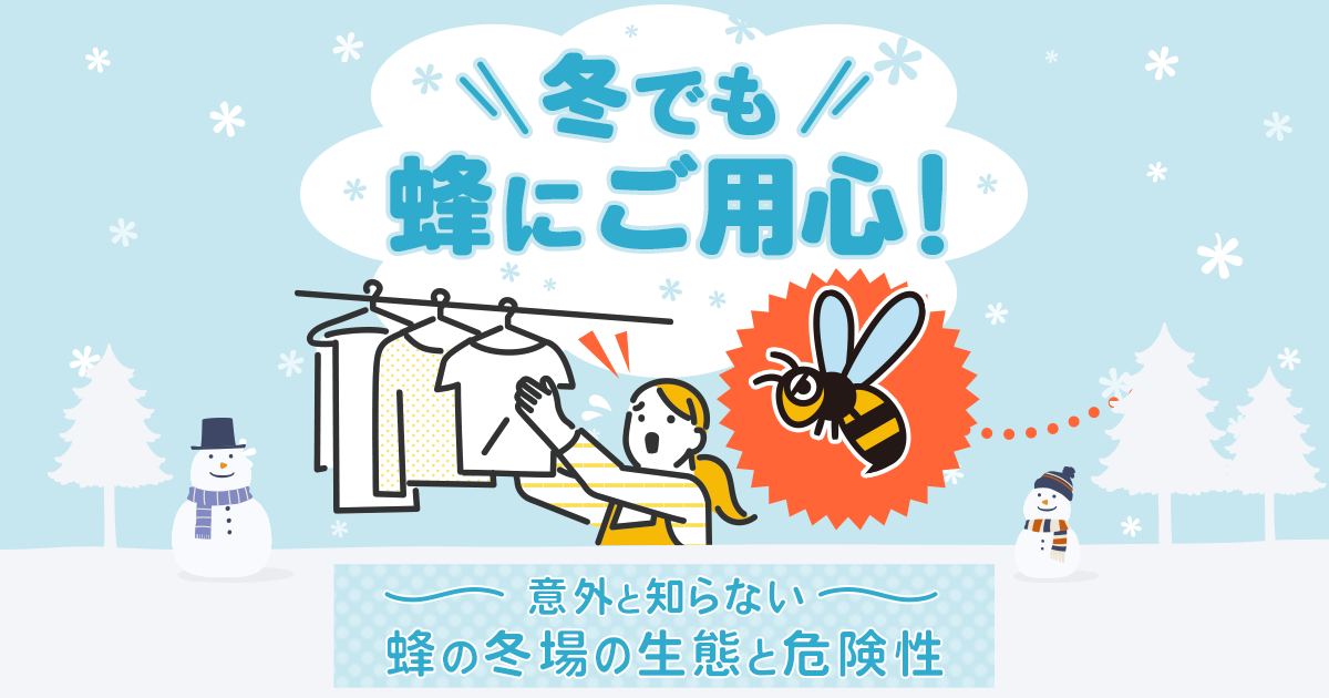 蜂の冬場の生態と危険性