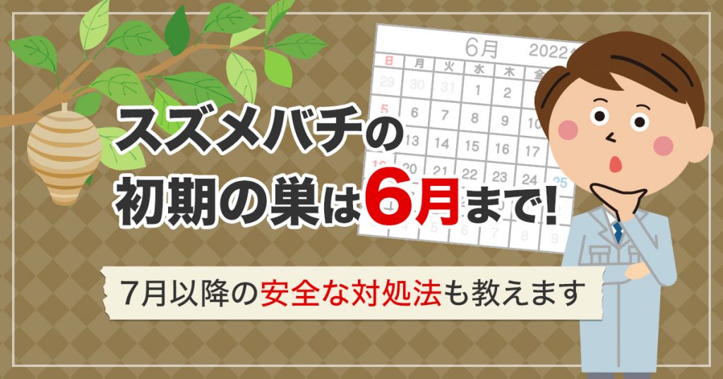 スズメバチの初期の巣は6月まで！7月以降の安全な対処法も教えます