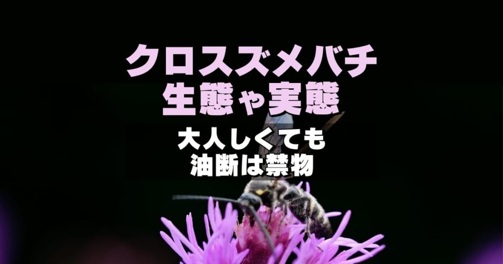 クロスズメバチ　生態や実態 大人しくても油断は禁物